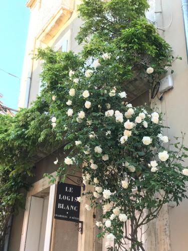 Ein Garten an der Unterkunft Le logis blanc bed&breakfast