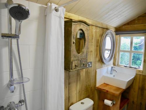 a bathroom with a sink and a mirror at The Wayside Shepherd Hut in Beaulieu