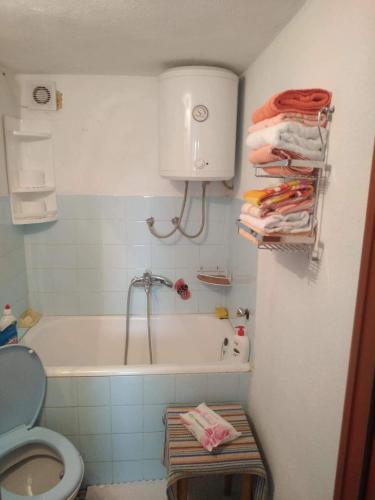 ein Bad mit einer Badewanne und einem WC in der Unterkunft Apartman Ana in Livno