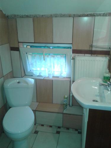 a bathroom with a toilet and a sink at Przytulne na Poddaszu in Jelenia Góra