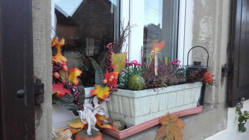 a window with a potted plant on a window sill at Bim Cathele in Burbach