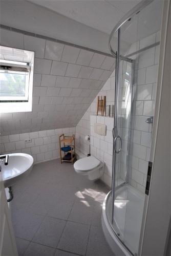 a bathroom with a shower and a toilet and a sink at FEWO-Alexandra in Hohwacht