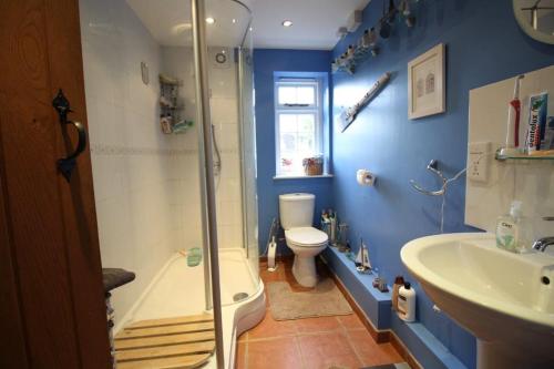 a bathroom with a shower and a toilet and a sink at Mid-Wales Farmhouse, swimming pool, tranquil countryside views, sleeps 14 in Meifod