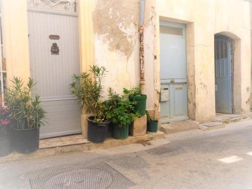 un groupe de plantes en pot sur le côté d'un bâtiment dans l'établissement Bateliers - Charme et Terrasse, à Arles
