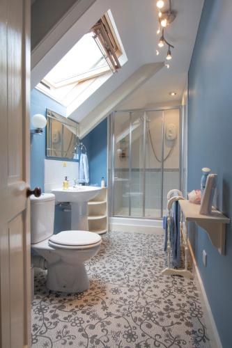 a bathroom with a toilet and a shower and a sink at Penrose Bed & Breakfast in Lostwithiel