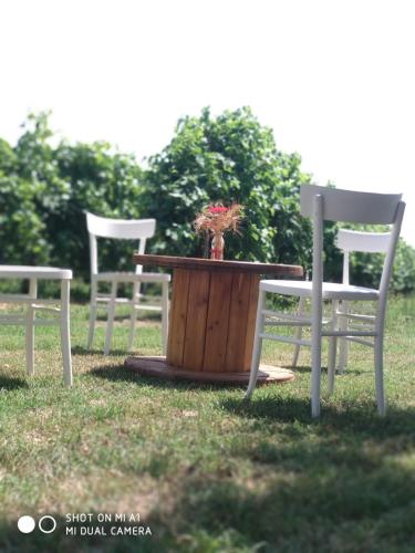 Zahrada ubytování Agriturismo Vitae