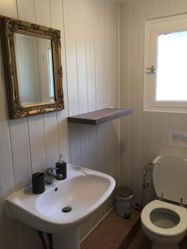 a bathroom with a sink and a toilet and a mirror at La Forestine in Bergerac