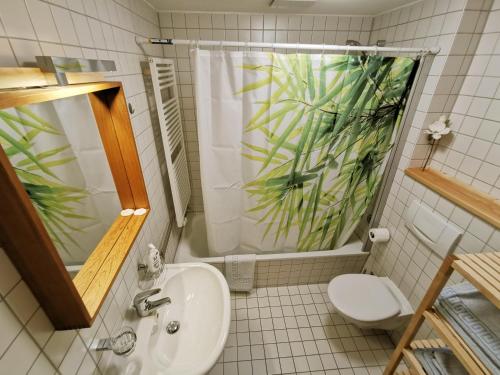 肯普滕的住宿－Garten Apartment Kempten，一间带水槽、卫生间和淋浴的浴室