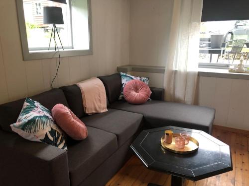 ein Wohnzimmer mit einem Sofa und einem Tisch in der Unterkunft Auregarden - a rustique oasis just a blink away from town centre in Vik