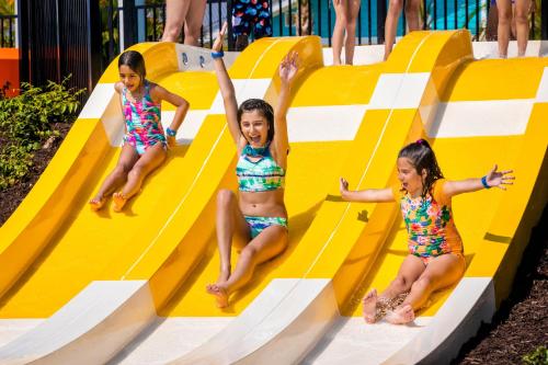 Margaritaville Resort Orlando with H2O Waterpark photo 83