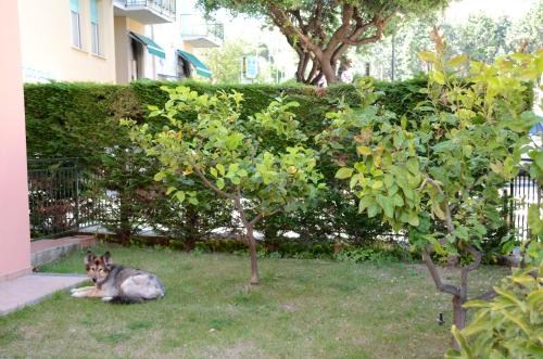 Appartamenti La Residenza – Photos 5