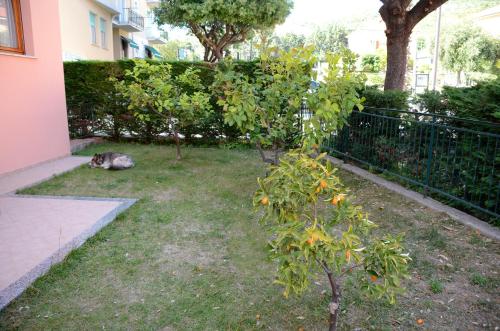 Appartamenti La Residenza – Photos 4