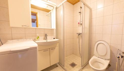 y baño con aseo, lavabo y ducha. en Lost Inn Cabins, en Äkäslompolo
