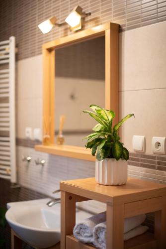 a bathroom with a mirror and a plant on a table at Tatarska Zagroda - Agroturystyka Dolina Baryczy Noclegi - Domek Jelonek in Krośnice
