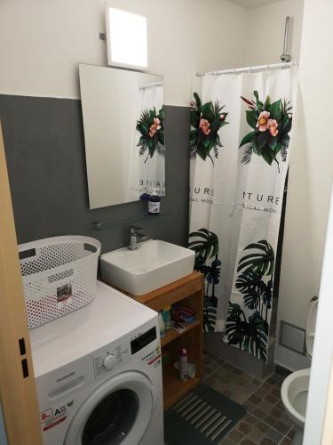 La salle de bains est pourvue d'un lave-linge et d'un lavabo. dans l'établissement F2 PARC TRINITE, à Saint-Denis