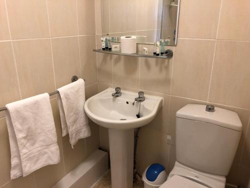 a bathroom with a sink and a toilet and a mirror at The Purple Tree Guest House in Torquay