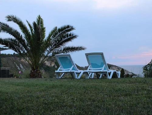 two chairs sitting on the grass next to a palm tree at Palm Beach Şile Villa Hotels in Istanbul