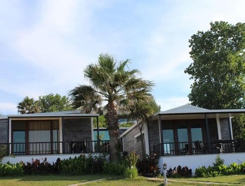 a house with a palm tree in front of it at Palm Beach Şile Villa Hotels in Istanbul
