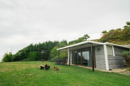 a group of chickens standing in the grass near a house at Palm Beach Şile Villa Hotels in Istanbul