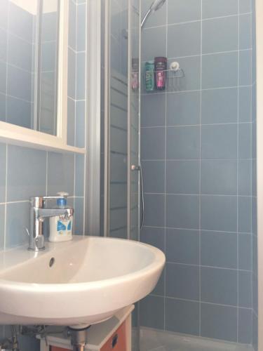 La salle de bains est pourvue d'un lavabo et d'une douche. dans l'établissement Rivabahn, à Trieste