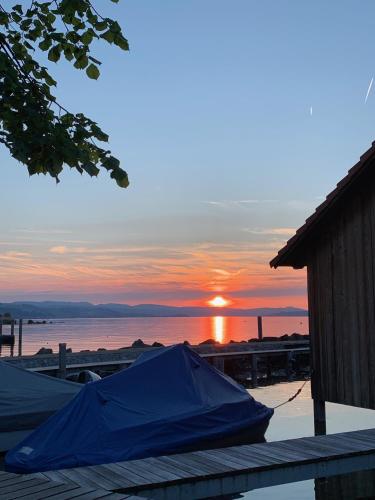 a sunset over the water with a blue tarp on a dock at Hotel Restaurant Schiff in Pfäffikon