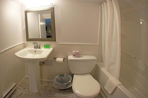 a bathroom with a toilet and a sink and a mirror at The Falls Family Lodge in Niagara Falls