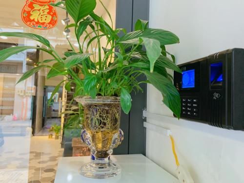 Gambar di galeri bagi Cozy Private Home @ HCM D.5 di Bandar Ho Chi Minh
