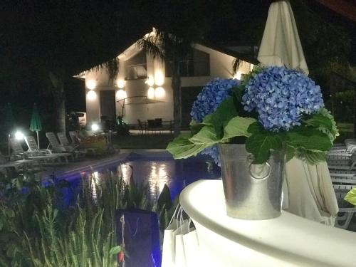 Φωτογραφία από το άλμπουμ του B&B Villa Elena σε Furci Siculo