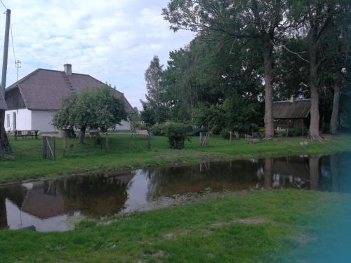 Fotografie z fotogalerie ubytování Ojavere Puhkemaja v destinaci Plika