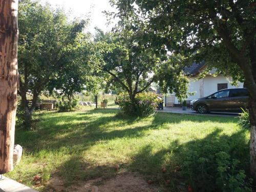 a yard with trees and a car parked in a driveway at Dom Piotra in Goniadz