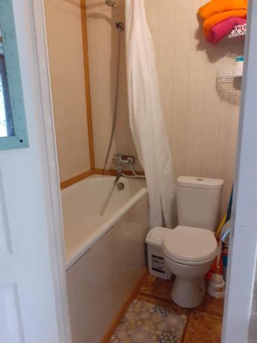 a small bathroom with a toilet and a bath tub at Comfort flat & parking Gertrudes Street Riga in Riga