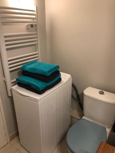 La salle de bains est pourvue de toilettes et de serviettes. dans l'établissement la villa des pins, à Juan-les-Pins