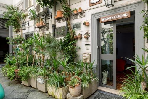 a store with plants on the side of a building at Aristovascio in Naples
