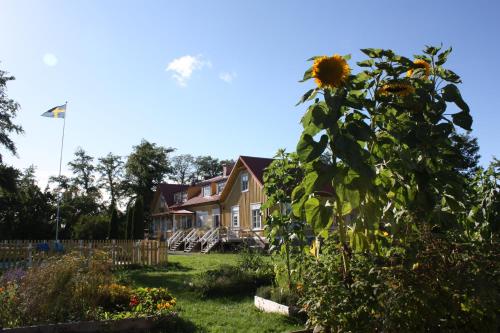 Gallery image of Gula Hönan Guest House in Ronehamn