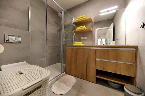 Een badkamer bij Apartman Dana