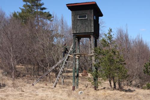 a man standing on a ladder in a tree house at Odisey in Postojna