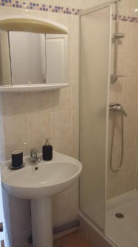 a bathroom with a white sink and a shower at Appartement dans propriété calme en pleine nature in Charbonnières-les-Bains