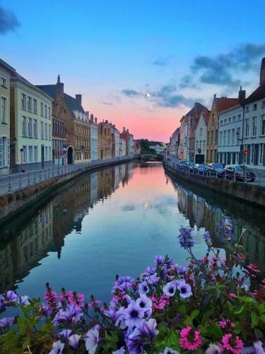 Oda ve kahvaltı yakınında doğal manzara