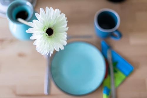 a white flower in a blue vase on a table at The HIKER City Apartment in Koblenz