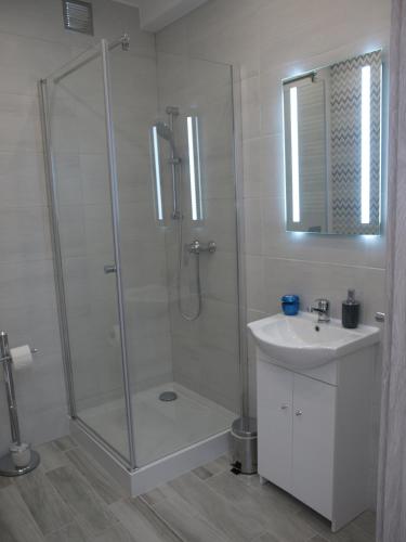 a bathroom with a shower and a sink at Bulwary Apartments in Szczecin