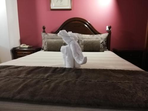 Una cama o camas en una habitación de Hotel Termas