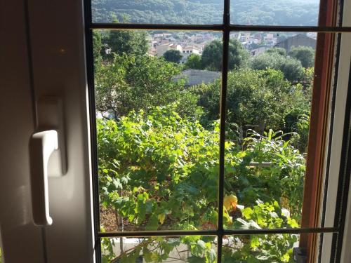 an open window with a view of a garden at J&B Countryside Life - Just for two in Ágios Matthaíos