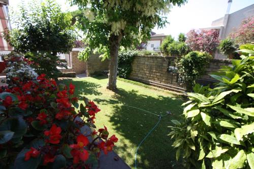 a garden with red flowers in a yard at Villa della Tartaruga in Casal Palocco