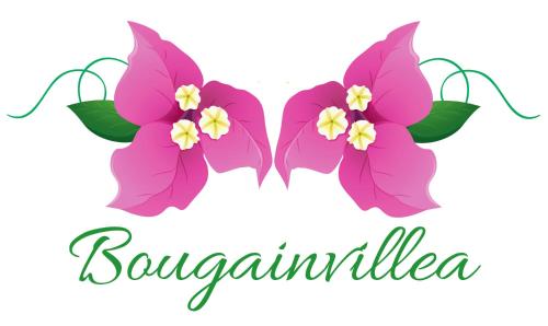 a pair of pink orchid flowers with a handwritten inscription saphanula at Bougainvillea in Guwahati