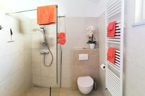 a bathroom with a shower and a toilet at Villa Clara in Labinci