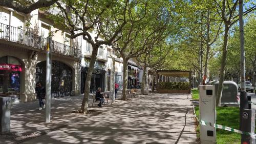 a tree lined street with people walking down it at Hostel Penedes in Vilafranca del Penedès