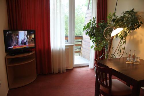 Una televisión o centro de entretenimiento en Hotel Dunajec