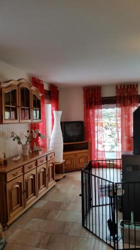 ein Wohnzimmer mit einem TV und einer Vase in der Unterkunft Hexenhaus am Waldesrand Wernigerode in Wernigerode
