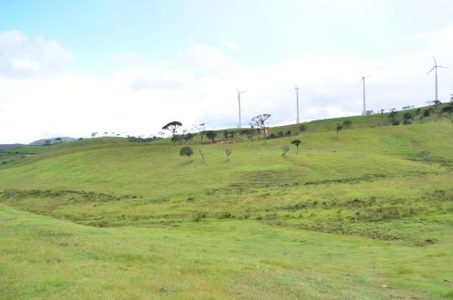 a field with trees on a hill with wind turbines at Yensfield Blackpool in Nuwara Eliya