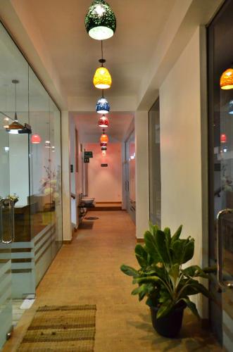 a hallway of a store with a plant and lights at Yensfield Blackpool in Nuwara Eliya